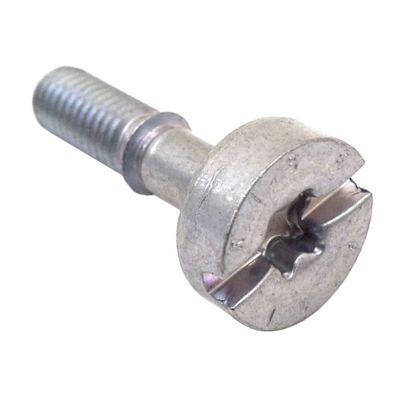 Screw IS-M5x21 for Stihl BR500, BR550 - OEM 90223191027