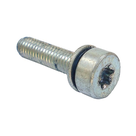 Spline Screw M5 x 20 for Stihl TS410, TS420 Disc Cutter - OEM 90223411019