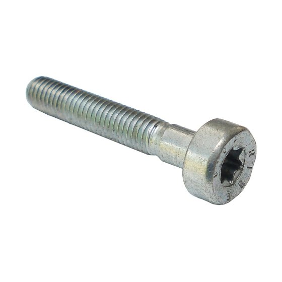 Spline Screw M5 x 30 for Stihl TS410 TS420 - OEM 90223411070