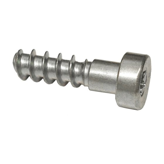 Pan Head Self-Tapping Screw IS-P6x21.5 for Stihl BR200, BR320 - OEM 90744784475
