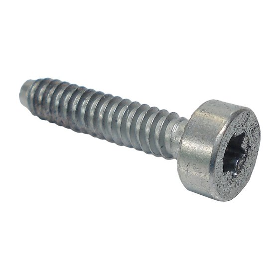 Pan Head Screw D5 x 24 for Stihl TS410 TS420 Disc Cutter - OEM 90754784159