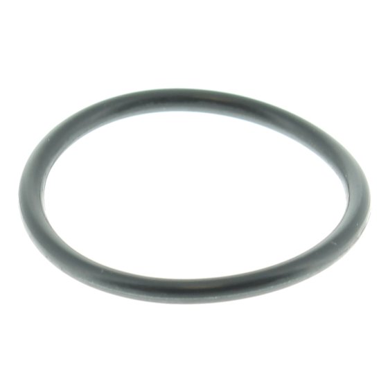 O-Ring for Stihl RB402 RE520W Cold Pressure Washers - OEM 96459457659